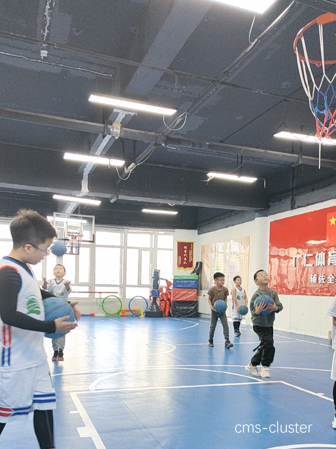 职业球员在跆拳道馆进行篮球训练的秘密