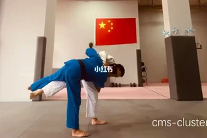  如何巧妙利用柔道馆空间进行篮球训练：策略与实践
