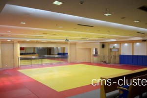  柔道馆如何成为理想的篮球训练场地：探索与实践