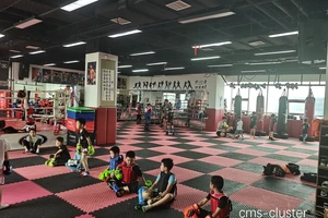  如何在散打馆中进行篮球相关的体能训练：全面指南与最佳策略