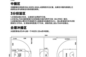  职业篮球队使用的篮球场地数据分析系统的特点与应用策略