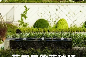  如何在园林中建设篮球场地：全面指南与实用建议