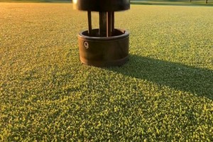  如何在篮球场进行草坪维护以确保最佳性能：专业指南与实用建议