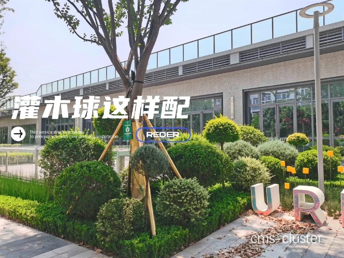 如何选择适合篮球场的多功能树木