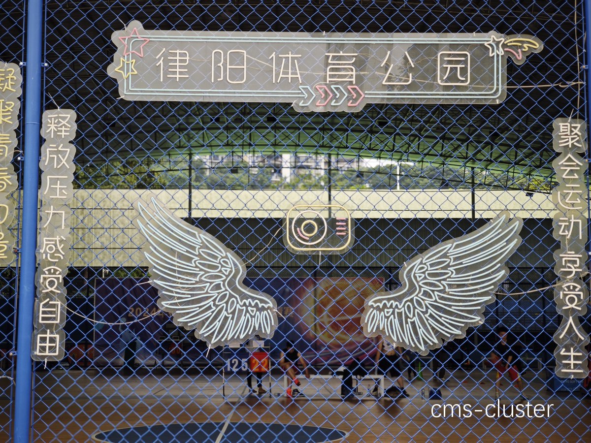 为什么篮球场周边的花卉对空气质量有帮助