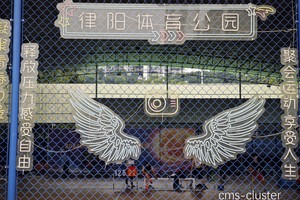  为什么篮球场周边的花卉对空气质量有帮助