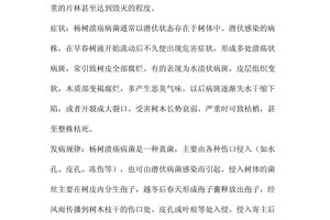  篮球场周边树木病虫害防治方案：策略与实践