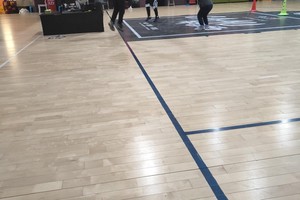  职业球员认可的篮球场花卉布置方式：打造理想比赛环境的两种策略