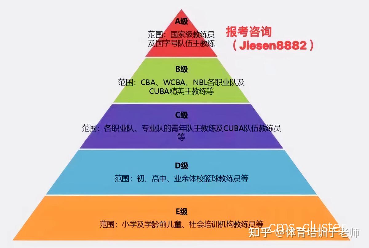 职业篮球俱乐部对教练席有哪些特殊要求?