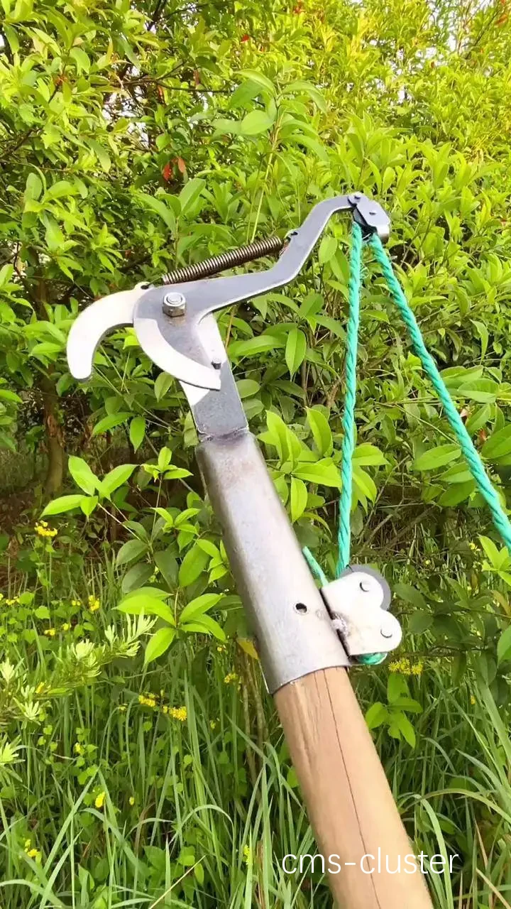 篮球场地维护人员必备的修剪工具
