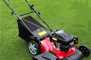  解决篮球场地草坪不均匀问题的修剪工具：选择与使用指南