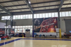  哪里有专业的篮球场地自动化控制系统供应商？