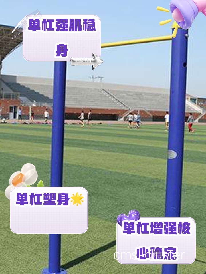 哪里能找到适合青少年的篮球场单杠