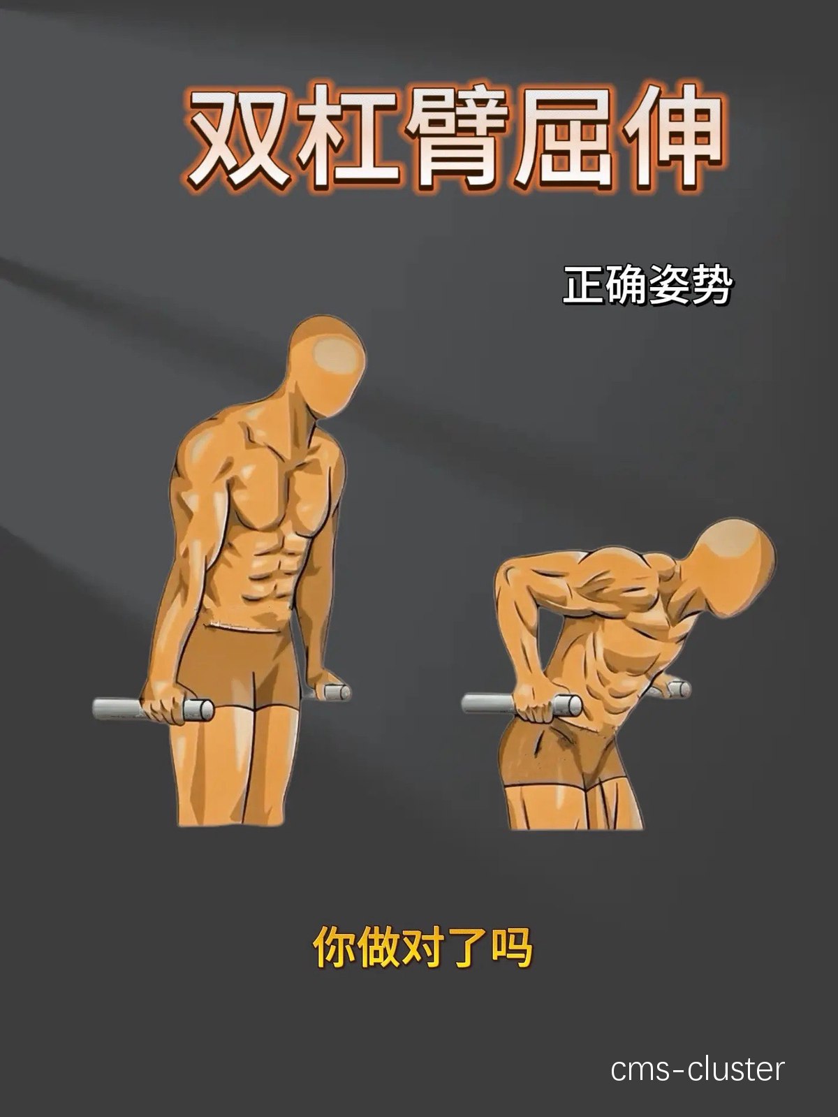  如何通过双杠提升篮球运动员的上肢力量：专业训练指南